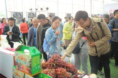 再見2018，與你同行的農副產品時光
